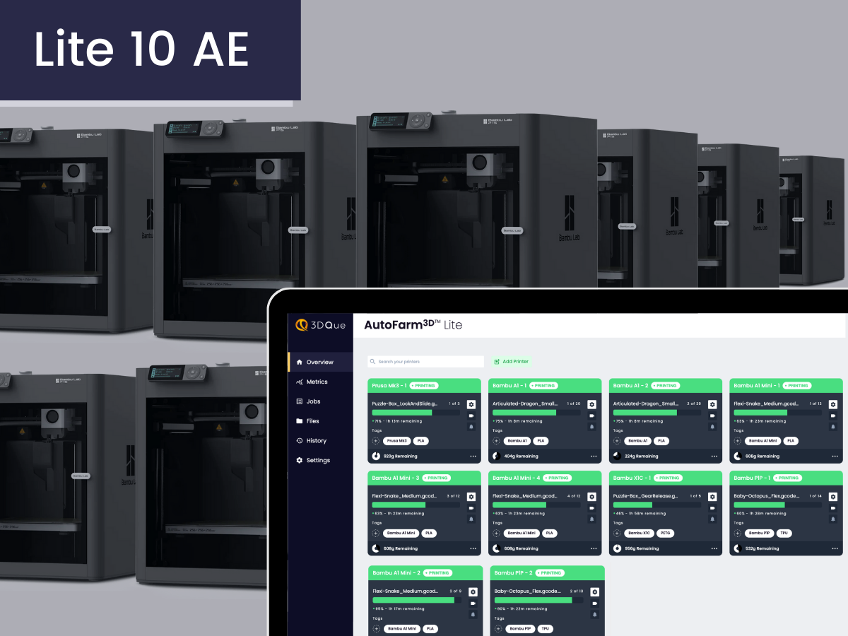 AF3D Lite 10 AE | 3DQue
