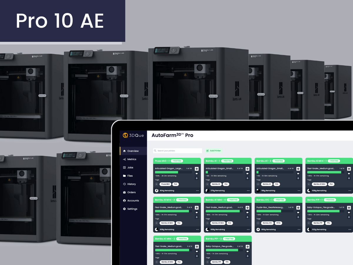 AF3D Pro 10 AE | 3DQue